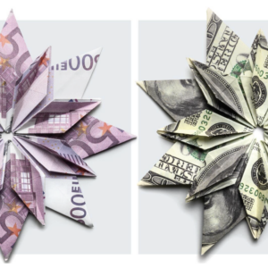 The image shows a side-by-side comparison of two origami flowers made from folded currency. The left flower is made from euro notes, and the right flower from US dollar bills.